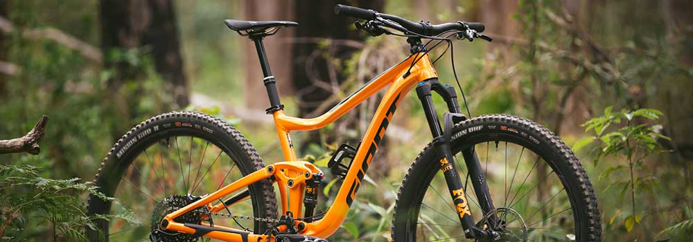 Your-First-Mountain-Bike-on-ExpertView