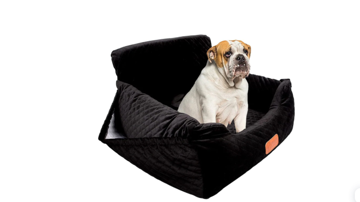 The-Ultimate-Small-Dog-Booster-Seat-on-expertview